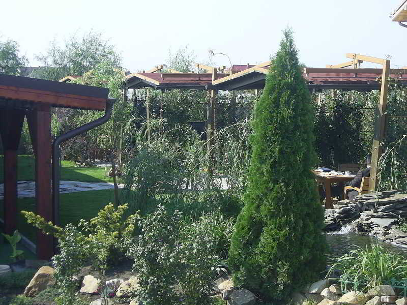 Anette Resort & Spa Covaci المظهر الخارجي الصورة