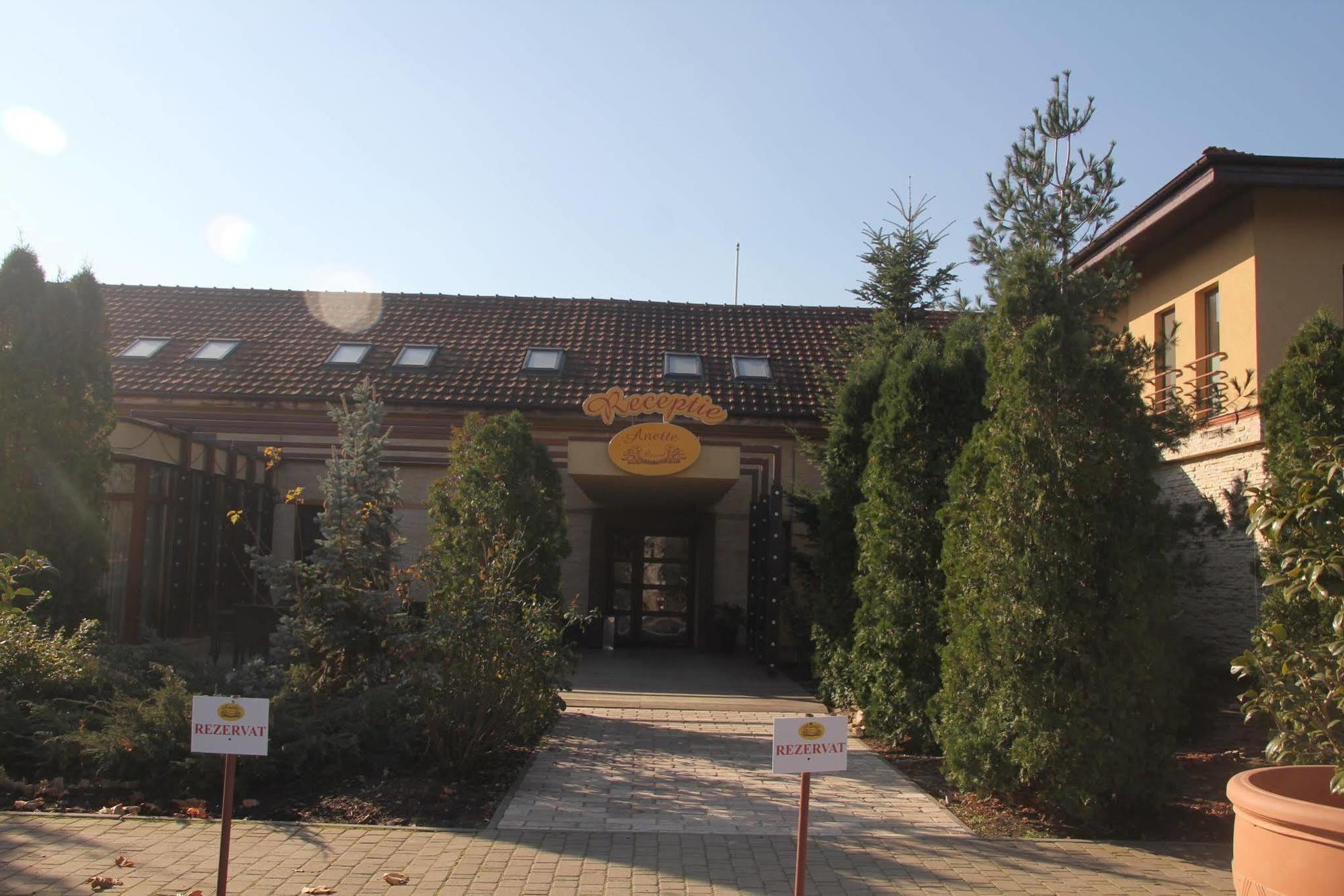 Anette Resort & Spa Covaci المظهر الخارجي الصورة